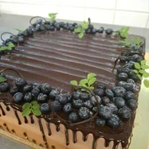 Levykakut leikattuna L